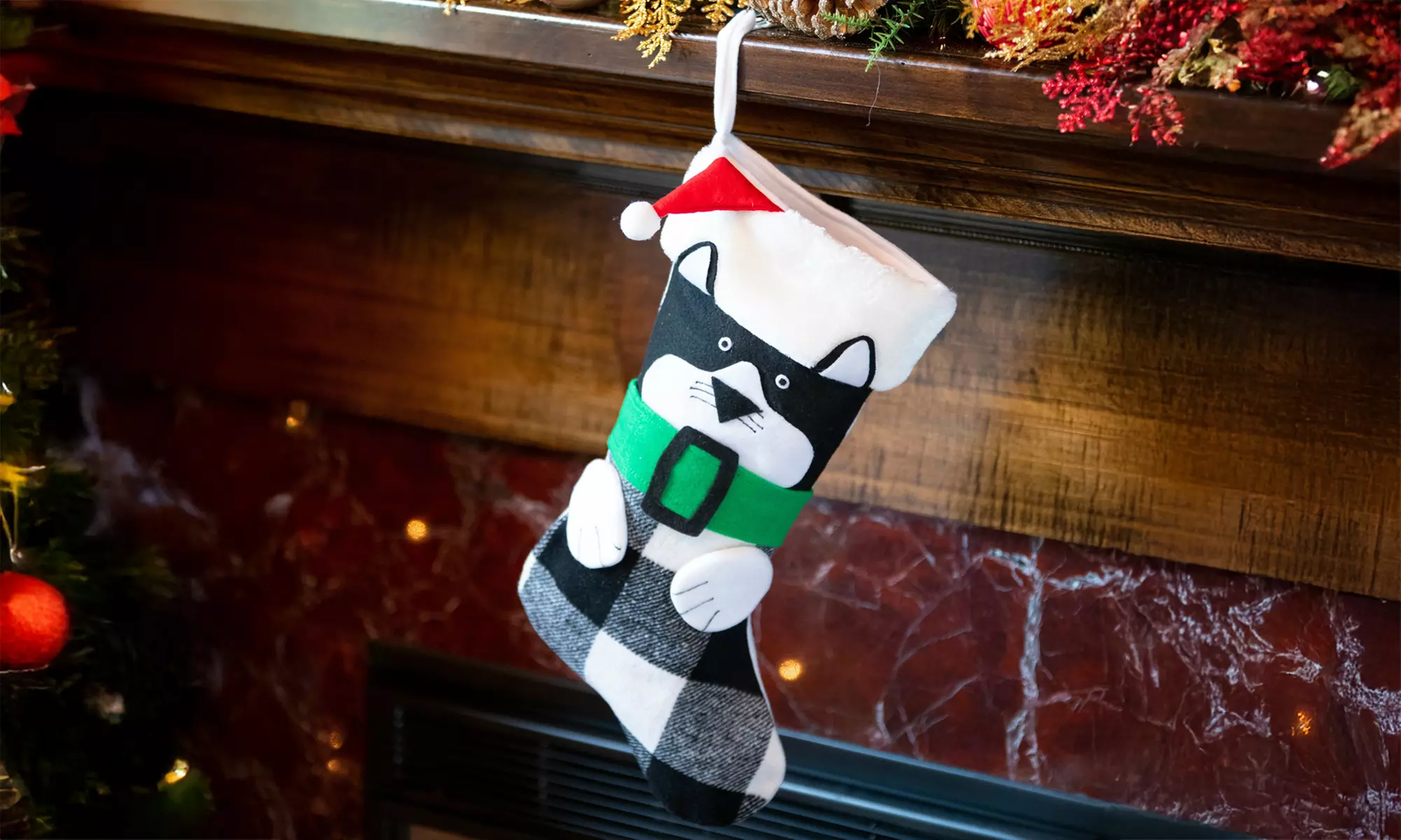Christmas Pet Stockings by Gigi Seasons - Primary Image
