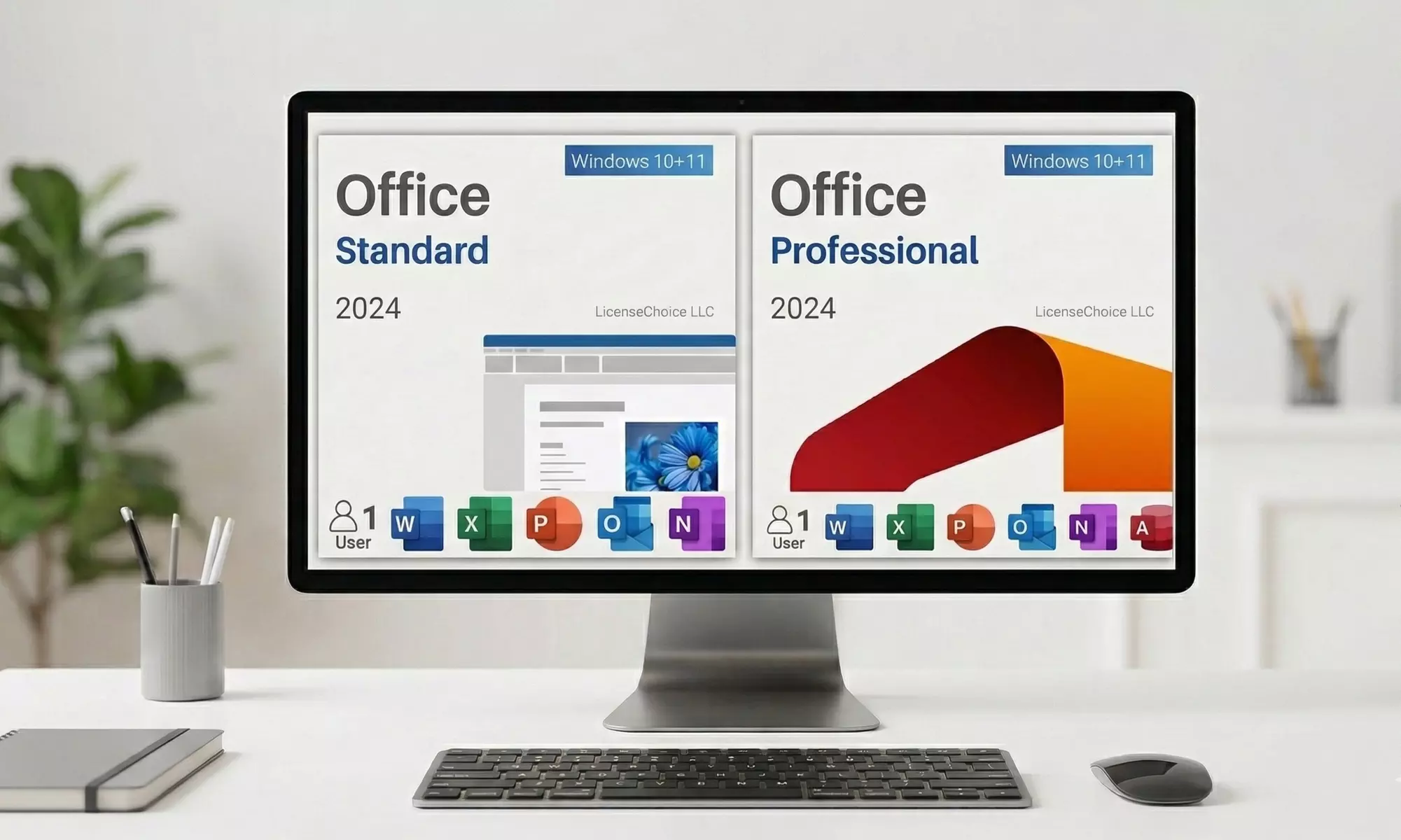 Office 2024 Professional Plus of Office 2024 Standard