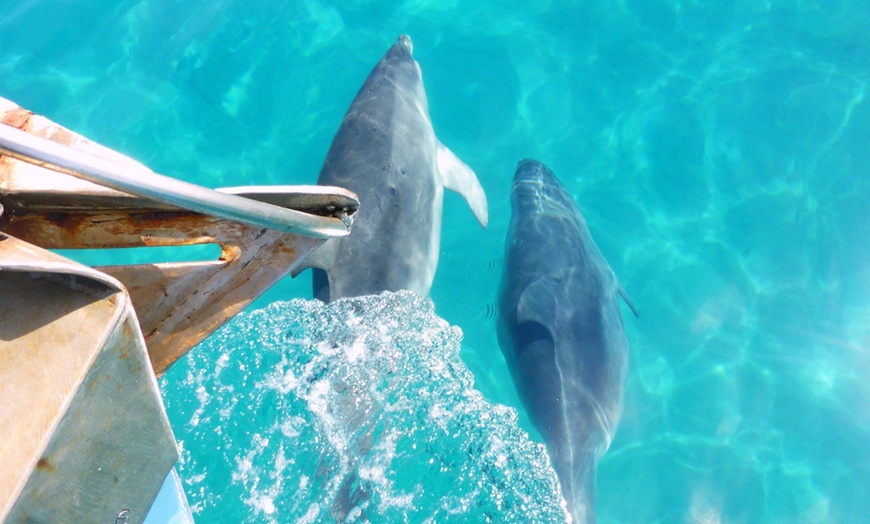 Image 8: Discover Wildlife on Sightseeing Tour for One Adult, Child or Infant 