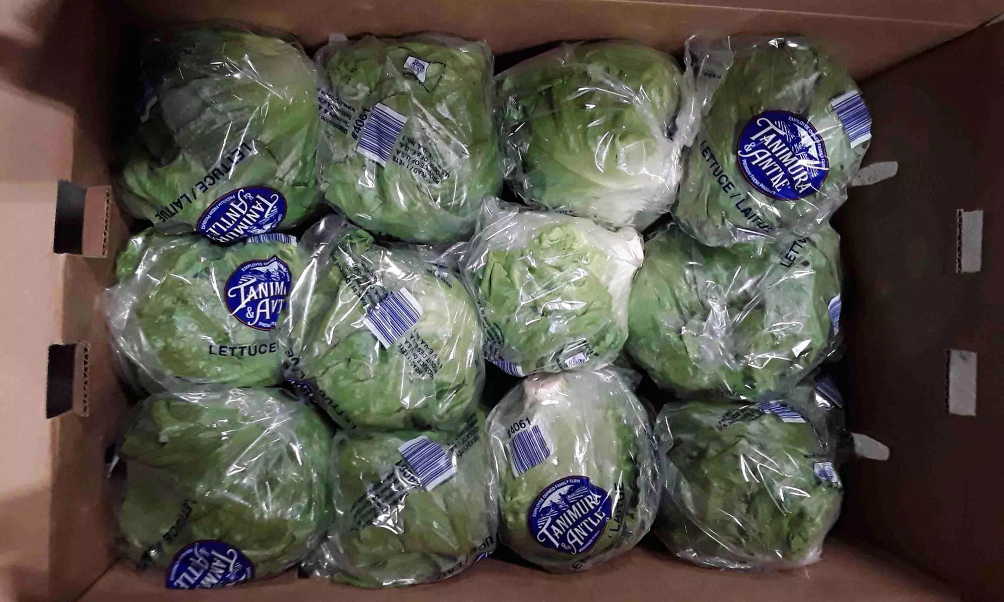 Ten Dollars Off Online Grocery Delivery For Convenient Shopping