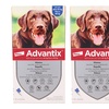 Image 21: Pipette antiparassitarie per cani Advantix