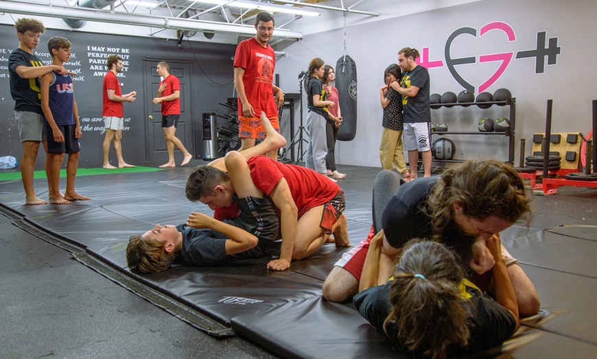 Image 3: MMA Training: Dojo Access (2 Months) & Private Lesson for Two
