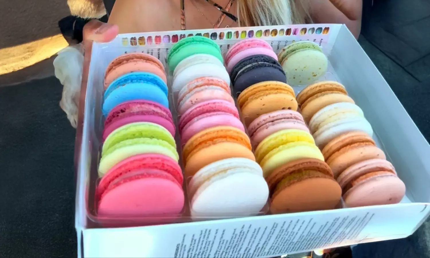 24-Pack Macaron Bites Blueberry and Vanilla French Macarons - Primary Image