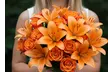 Rose Farmers Deal: Stunning Farm Fresh Roses & Exotic Flower Bouquets (Up to 63% Off) - Image 2