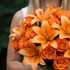 Image 1: Vibrant Floral Bouquets from Rose Farmers (Up to 67% Off)