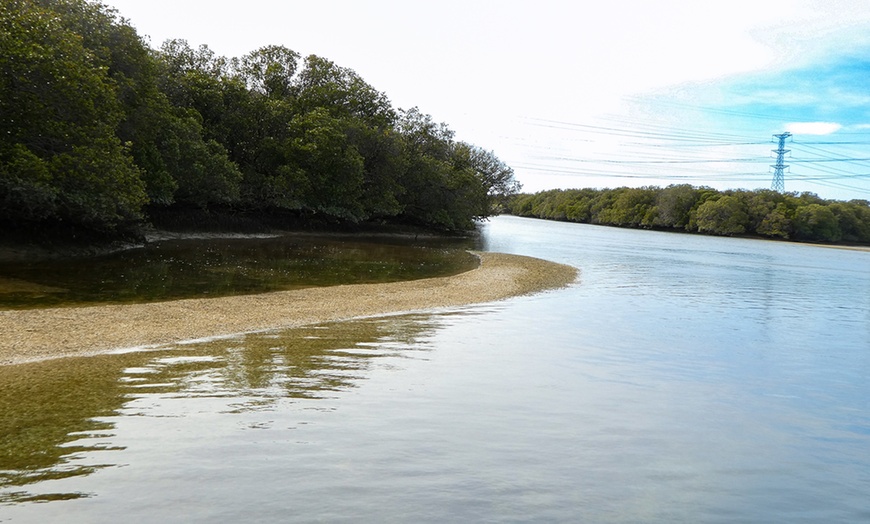 Image 6: 90-Minute Port River Dolphin & Ships Graveyard Cruise