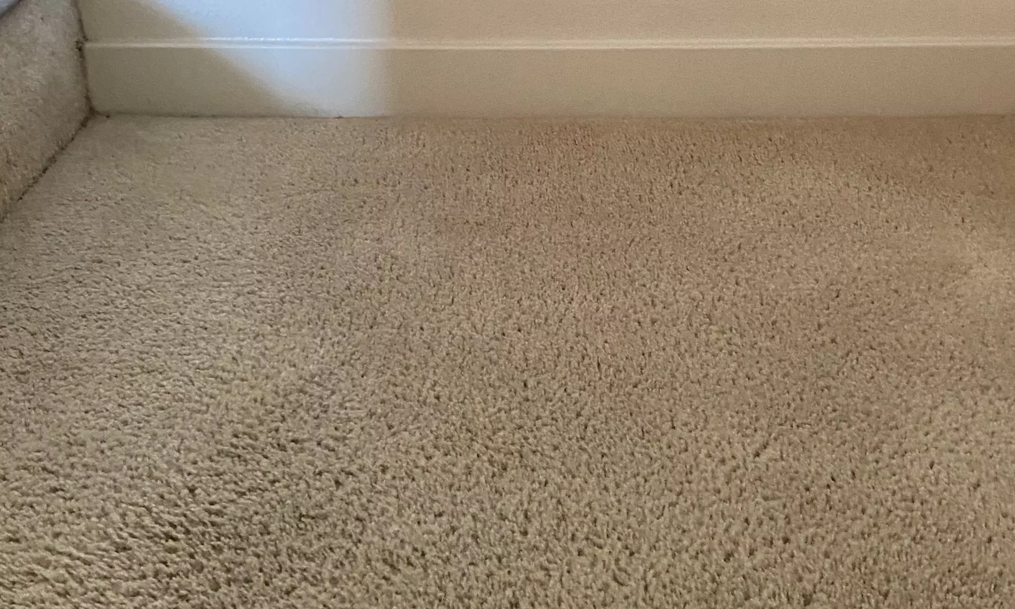 Feel Fresh: Carpet Cleaning for 3 or 5 Rooms or Upholstery Cleaning