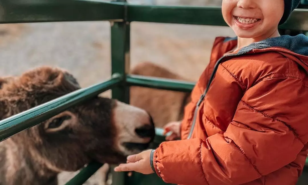 Admission to Safari Tractor Hayride on 100-Acre Farm - Second Medium