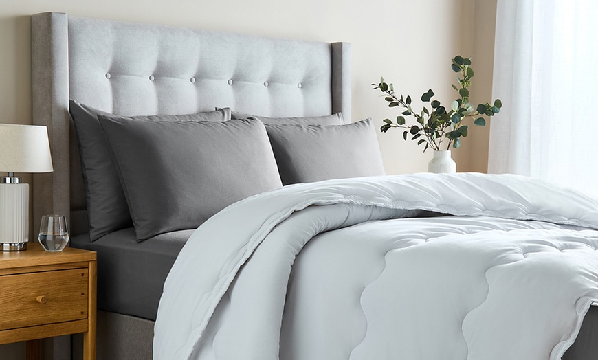 Image 2: Sealy Luxury Sealy Deeply Full Pillows, Duvets or Mattress Topper