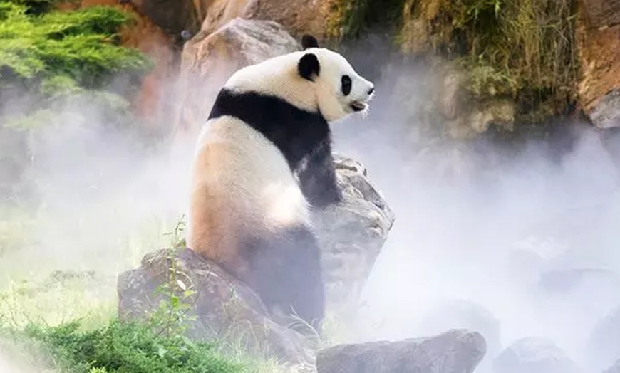 Image 7: Carte 100% parcs avec Wonderbox Connect