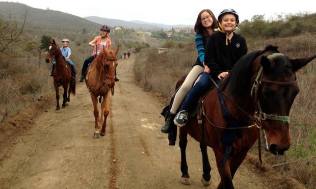 What to expect media