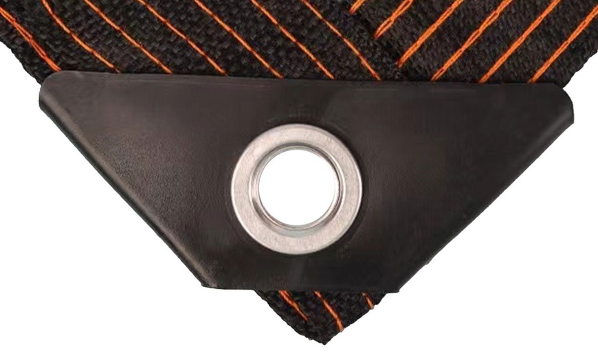 Image 4: Clear Plastic Tarps with Grommets