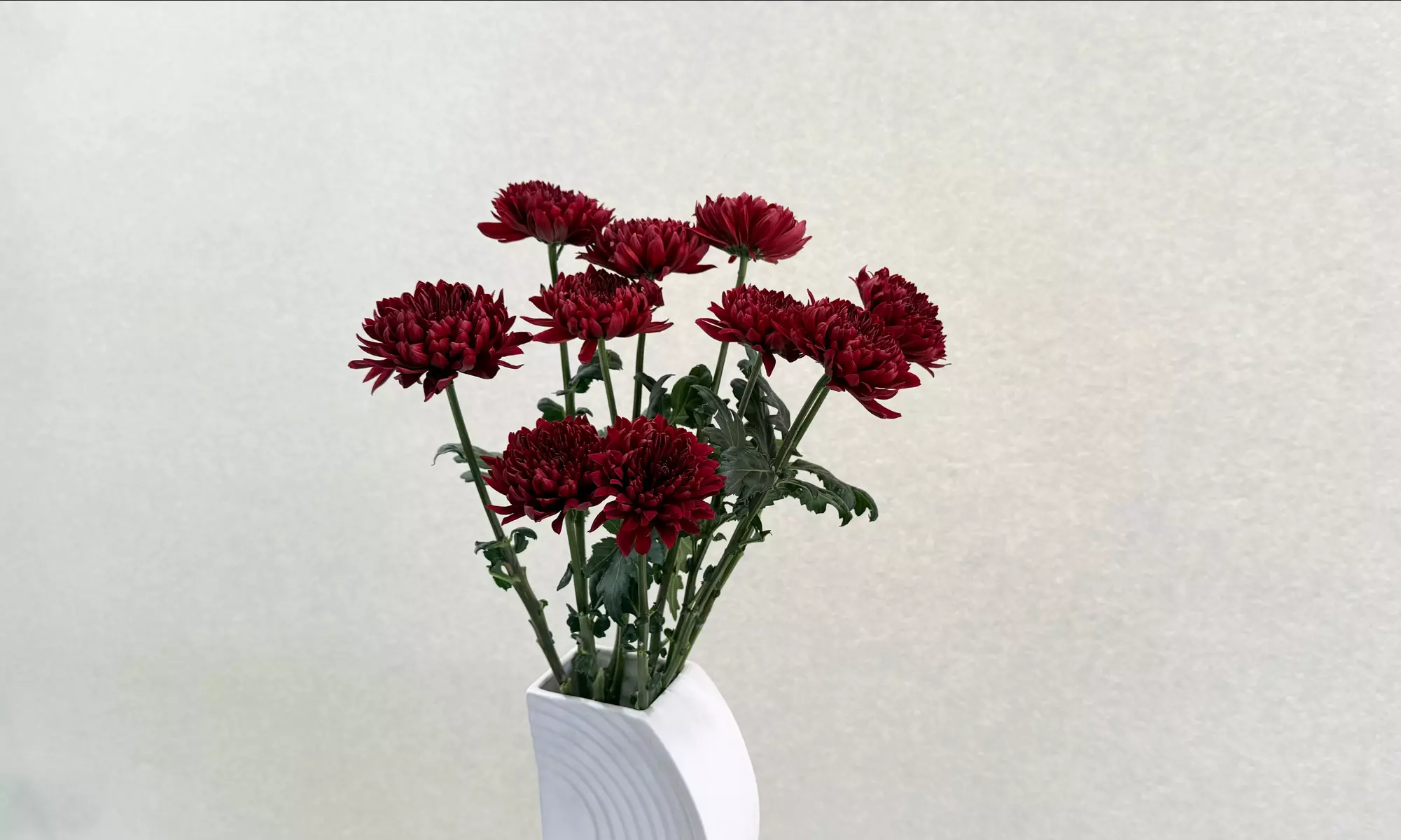 Brighten Any Moment with Rose Farmers' vibrant trio—Sunflowers, Snapdragons, & Chrysanthemums (Up to 57% Off) - Second Medium