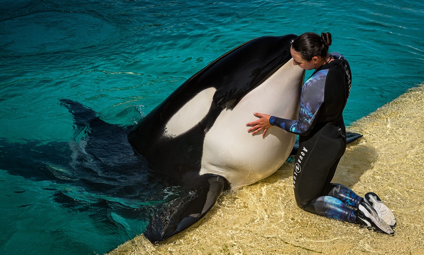 Image 2: Billet pour Marineland et Kid's Island