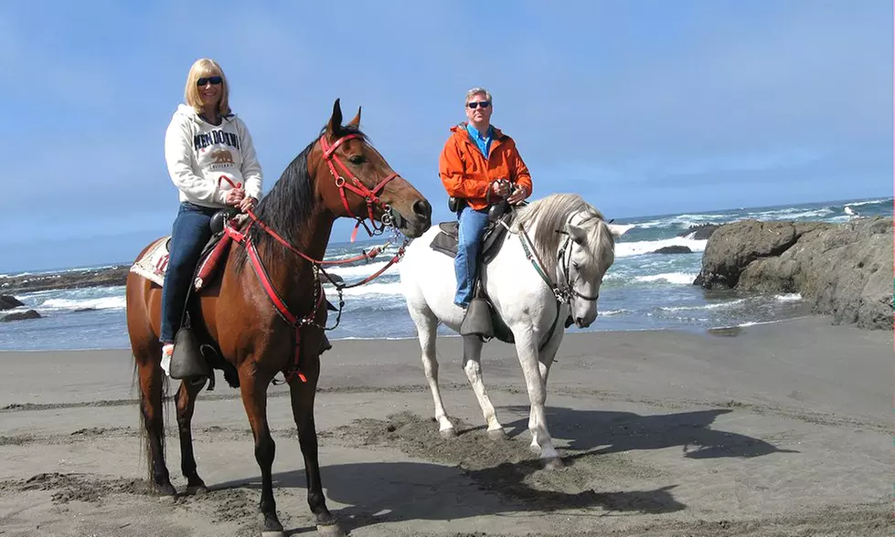 Relax in spa-inspired luxury on the Mendocino Coast
