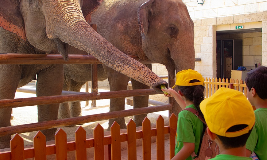 Image 8: 1 or 2 Week Animal Discovery & Activities Winter Camp
