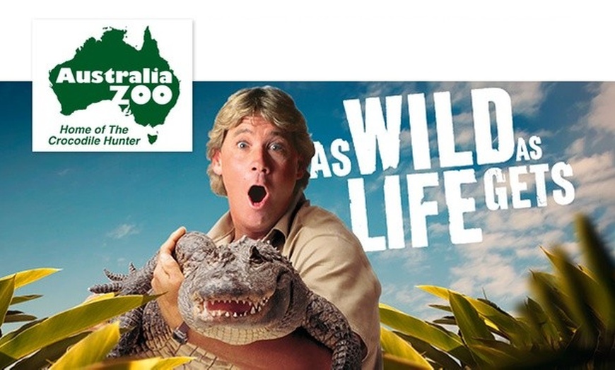 Image 1: Admission & Hospital Sneak Peak, Wild or Day Pass to Australia Zoo