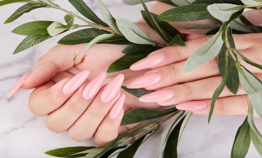 Image 1: Transform with Manicure, Pedicure, Gel Extensions or Brow Shaping 
