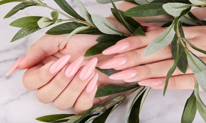 Transform with Manicure, Pedicure, Gel Extensions or Brow Shaping 