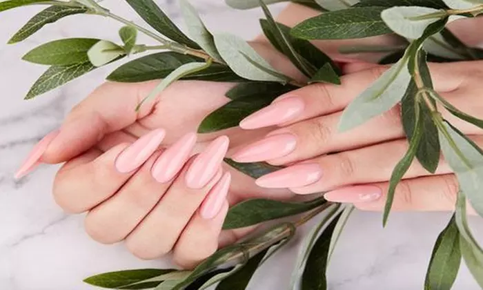 Transform with Manicure, Pedicure, Gel Extensions or Brow Shaping 