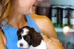 Find Relaxation with One, Three or, Seven Puppy Yoga Classes - 60 Min - Up to 50% Off - Second Medium