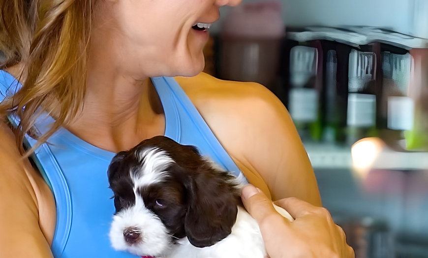Image 4: Enjoy with One, Three or, Seven Puppy Yoga Classes - 60 Min 