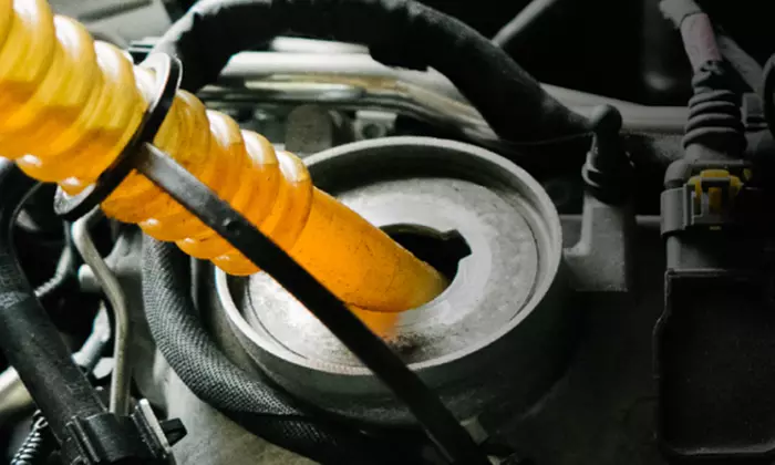 Prestige Auto  European Oil Changes+Car Wash+Filter +Digital MI