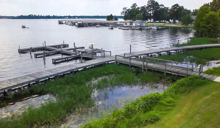 Lake Blackshear Resort & Golf Club - Experience Luxury and Adventure