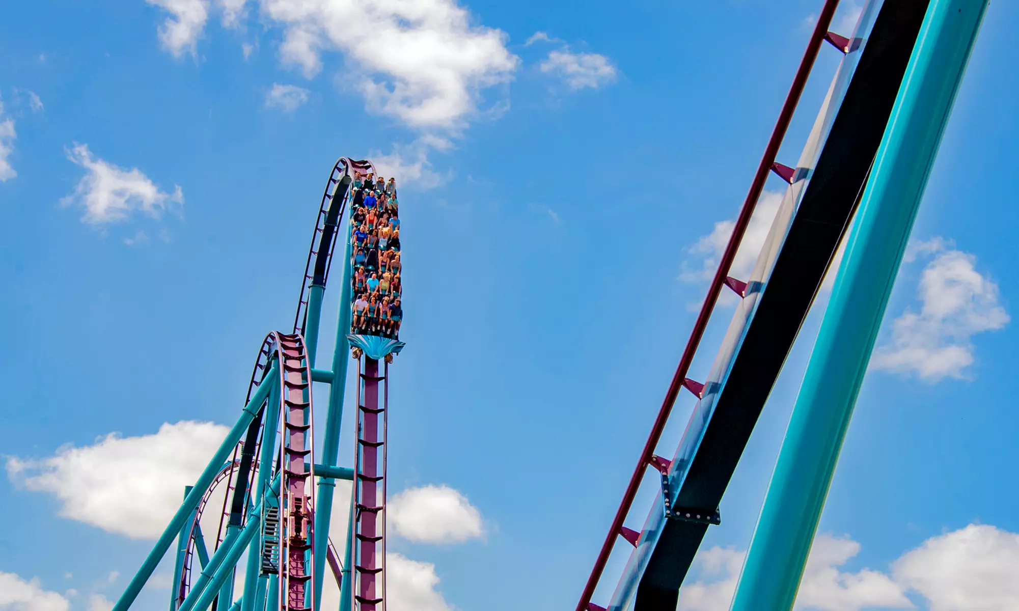 END OF SUMMER SALE! Save 58% on SeaWorld Orlando Tickets!