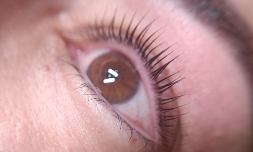 Image 3: Tratamientos para cejas y pestañas a elegir para 1 persona