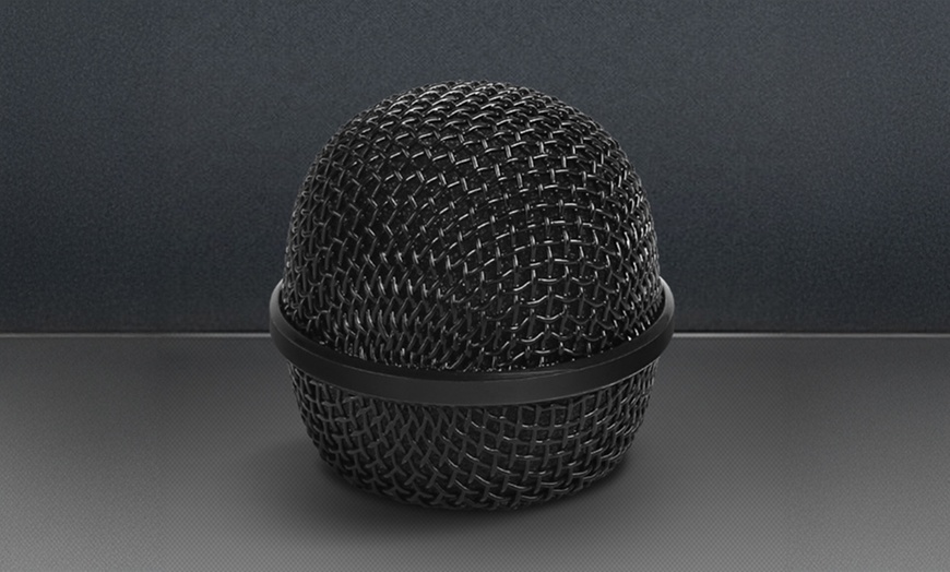 Image 5: 6.5mm Jack Dynamic Microphone