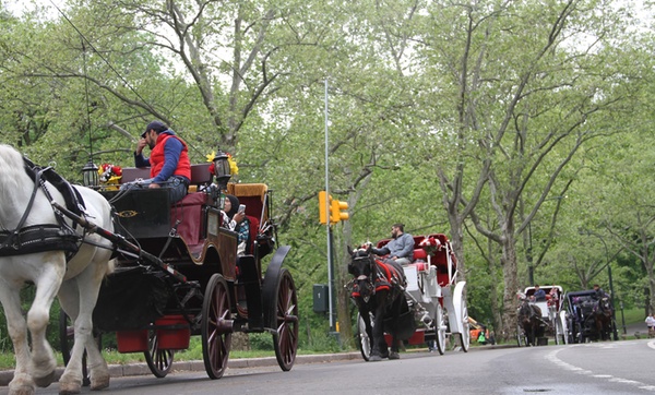 central park carriage ride groupon