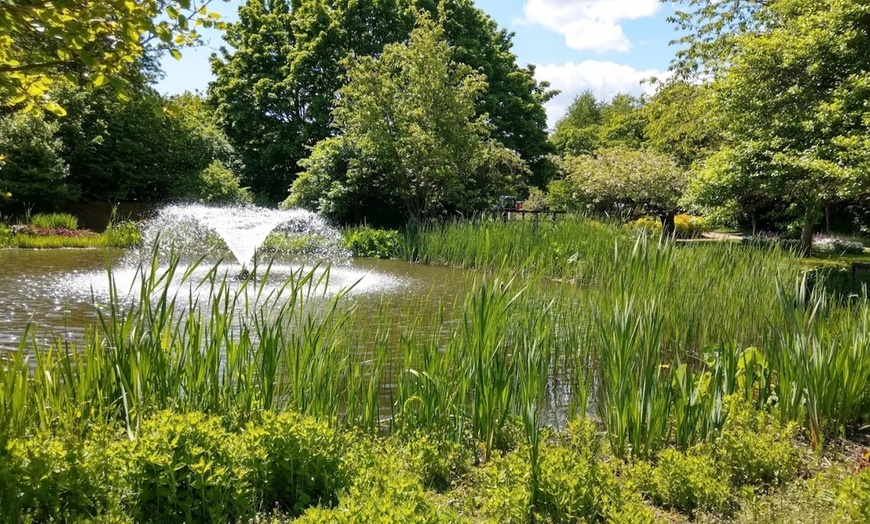 Image 11: Enjoy Family fun with Entry Tickets for Adults and Childrens