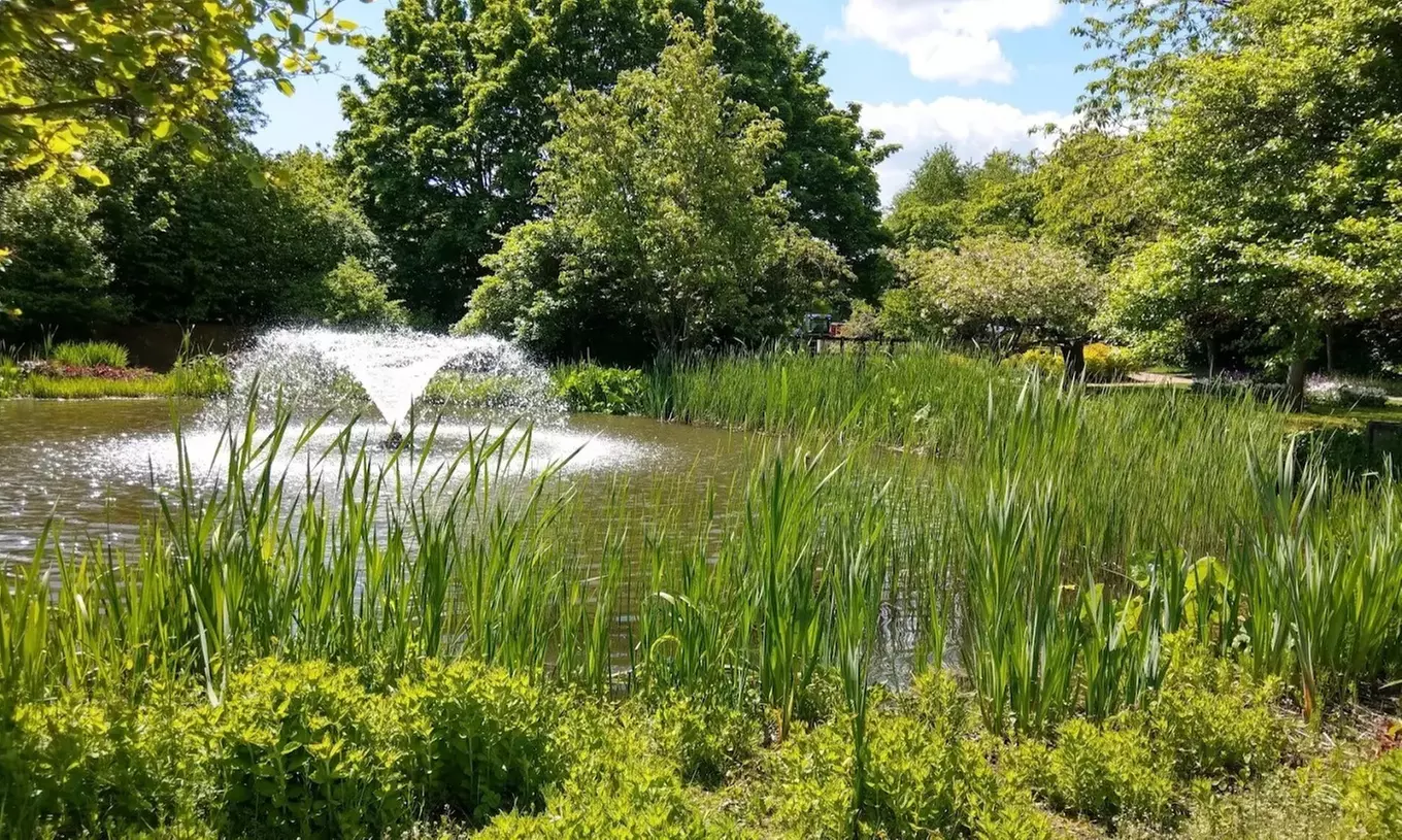 Enjoy Family fun with Entry Tickets for Adults and Childrens