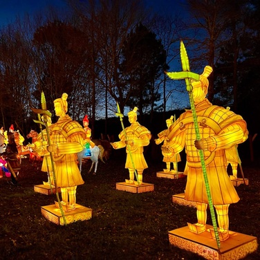 What to expect media