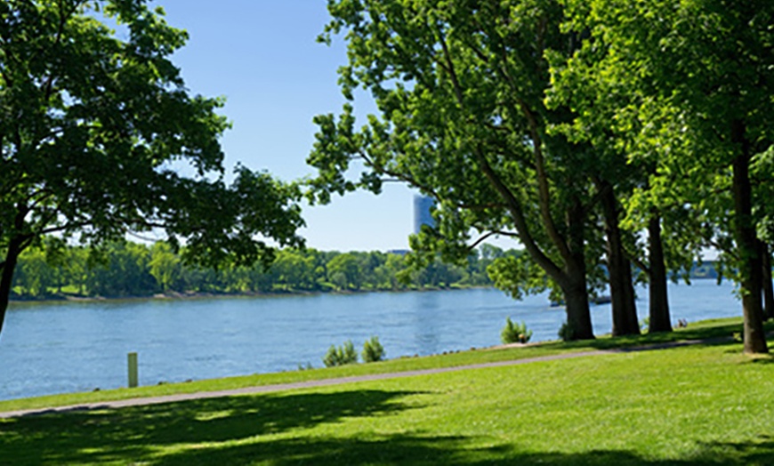 Image 3: Panoramafahrt zwischen Bonn & Königswinter auf der MS RheinTreue