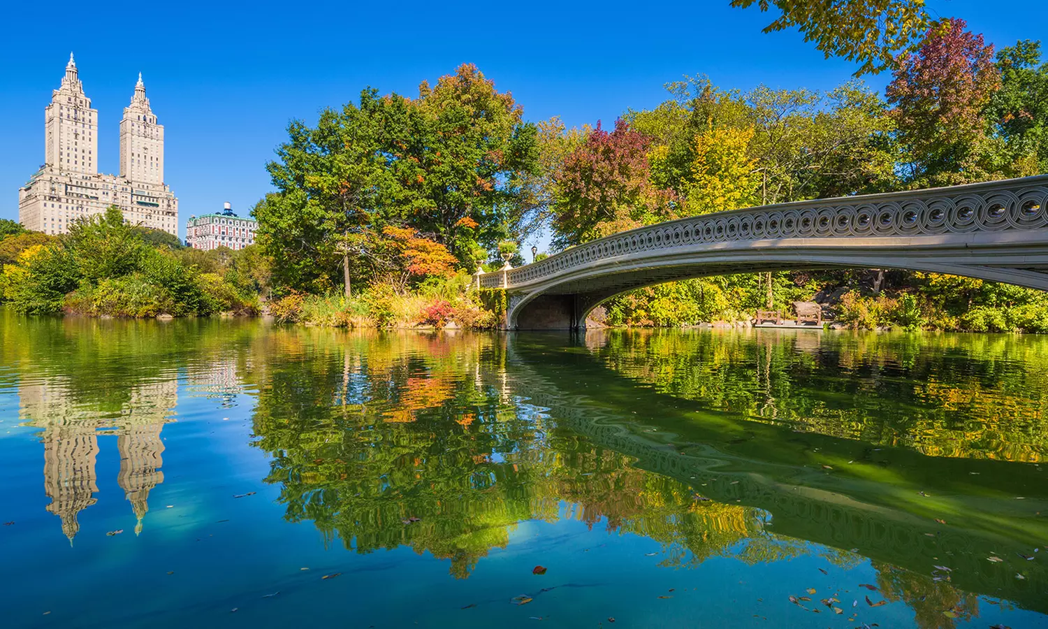 Pass Explorer GoCity New York : 2, 3, 4, 5, 7 ou 10 activités au choix