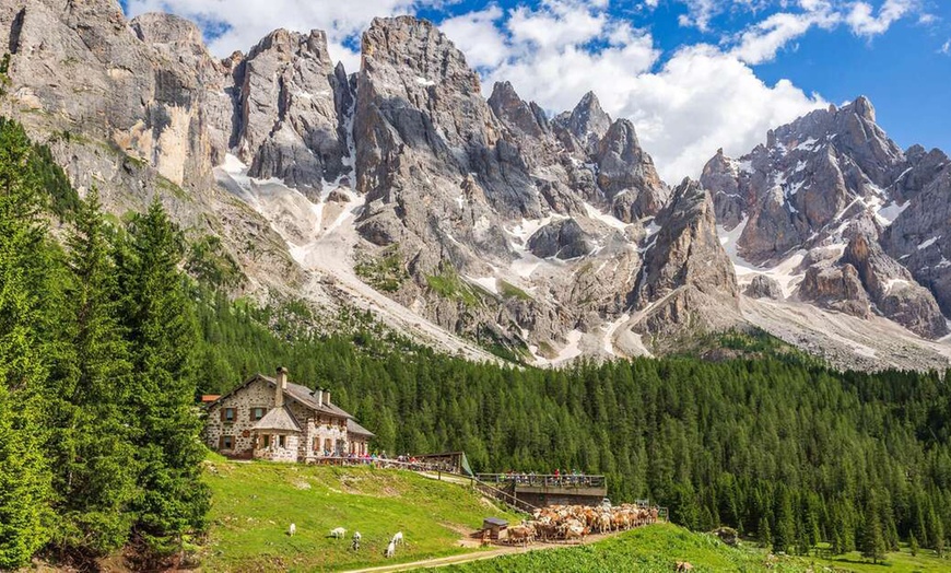 Image 1: Trentino: camera Comfort per 2 con colazione o mezza pensione