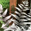 Image 3: One or Three Japanese Painted Ferns
