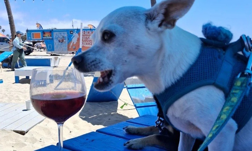 Image 6: $20 or $50 Towards Food and Drink Or Dining Experience for 2 or 4
