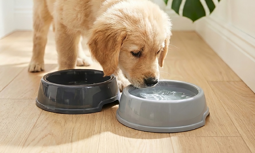 Image 4: Ensemble lit pour chien avec 2 gamelles, jouet en corde et porte-sac 