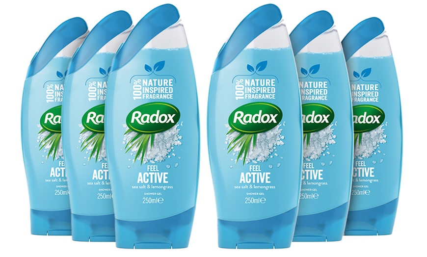 Image 3: Radox Shower Gels 250ml