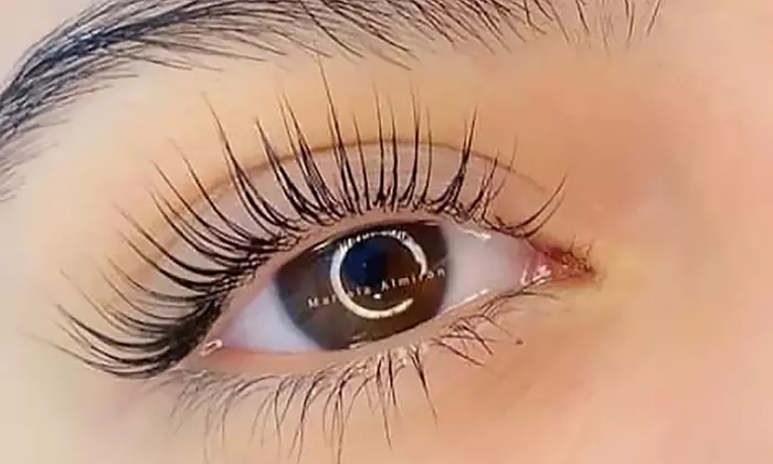 Holiday Lash Glam – Natural Classic/Custom Premium Lifts for Radiance