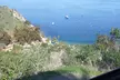 Guided 2-Hours Tour: Canyons, Scenic Coastlines & Wildlife at Catalina Island for One Child, Adult, or Senior  - Second Medium