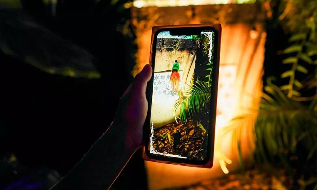 Explore Dazzling Light Displays at The Night Garden in Miami