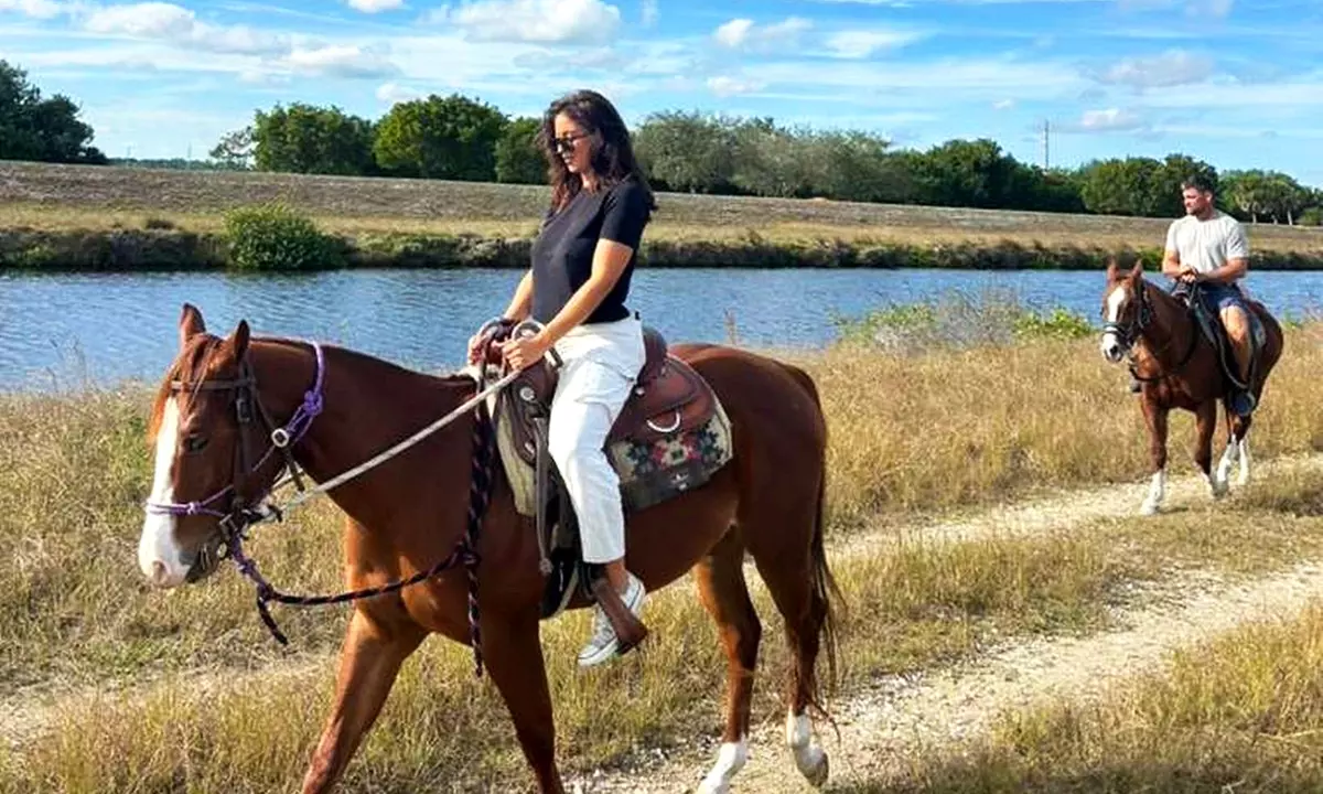 Horseback Riding in Miami's Countryside – Scenic Trails