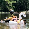 Image 6: Up to 28% Off on Summer Camp at Sneak Away Riding Club