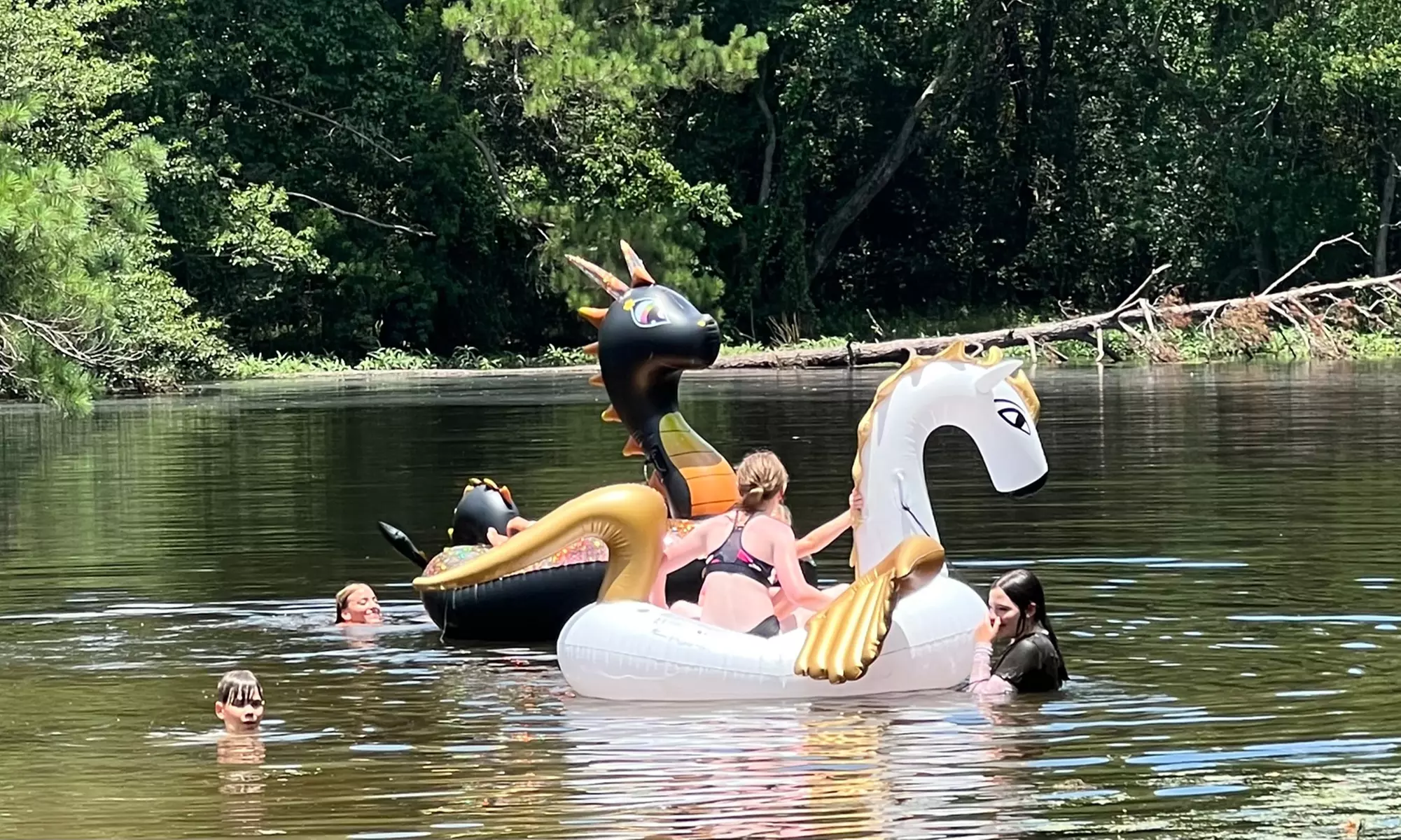 Dive Into Fun: Youth Summer Hearts and Hoofs Horse Camp Registration