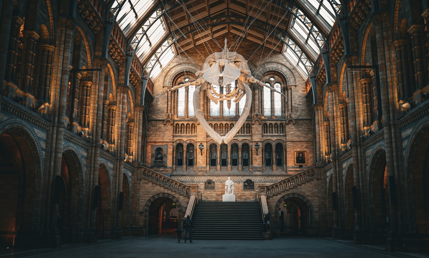 Image 9: Explore the Natural History Museum - Adult & Child Tours!