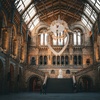 Image 9: Explore the Natural History Museum - Adult & Child Tours!